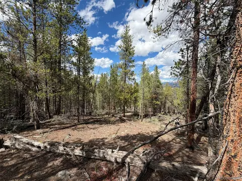 105 Parry Peak Dr, Twin Lakes, CO 81251