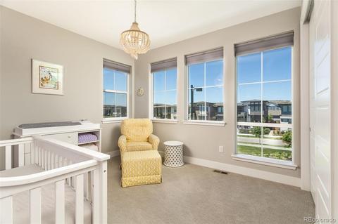 10096 E 59th Pl, Denver, CO 80238 photo 22