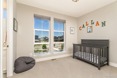 10096 E 59th Pl, Denver, CO 80238 photo 23