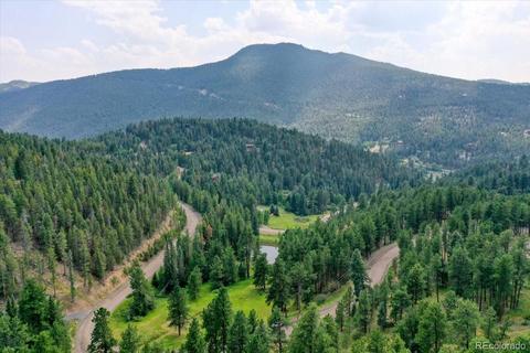 23471 Black Bear Trl, Conifer, CO 80433 photo 37