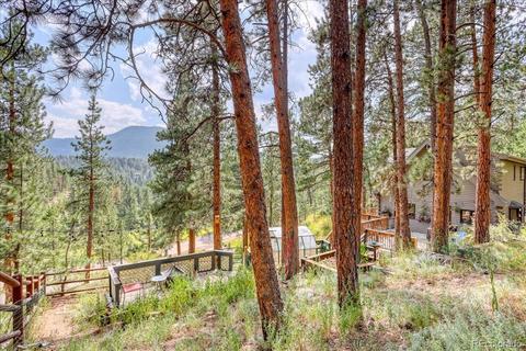 23471 Black Bear Trl, Conifer, CO 80433 photo 30