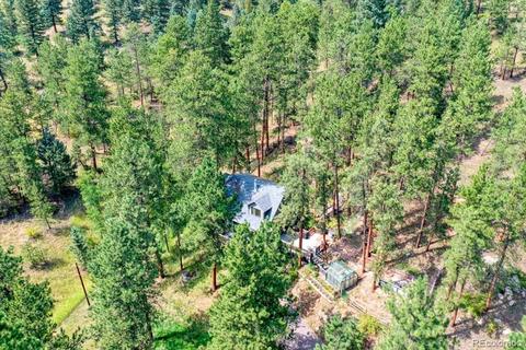 23471 Black Bear Trl, Conifer, CO 80433 photo 40