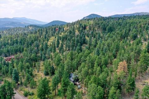 23471 Black Bear Trl, Conifer, CO 80433 photo 38