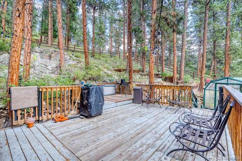 23471 Black Bear Trl, Conifer, CO 80433 photo 26