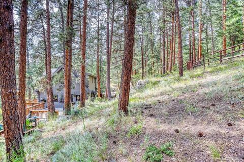 23471 Black Bear Trl, Conifer, CO 80433 photo 31
