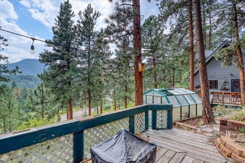 23471 Black Bear Trl, Conifer, CO 80433 photo 29