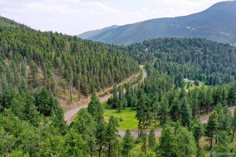 23471 Black Bear Trl, Conifer, CO 80433 photo 36