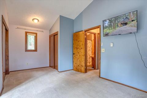 23471 Black Bear Trl, Conifer, CO 80433 photo 19