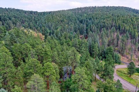23471 Black Bear Trl, Conifer, CO 80433 photo 35