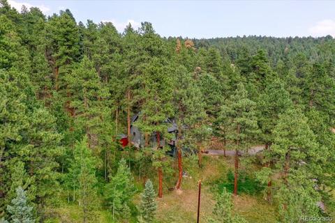 23471 Black Bear Trl, Conifer, CO 80433 photo 34