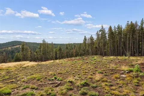 8570 S Warhawk Rd, Conifer, CO 80433 photo 7