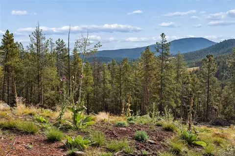 8570 S Warhawk Rd, Conifer, CO 80433 photo 12