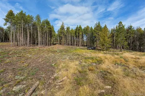 8570 S Warhawk Rd, Conifer, CO 80433 photo 10