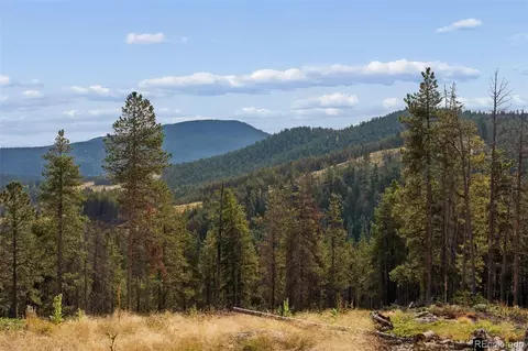8570 S Warhawk Rd, Conifer, CO 80433 photo 4