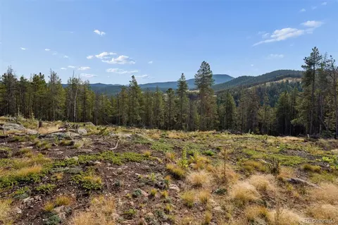 8570 S Warhawk Rd, Conifer, CO 80433 photo 5