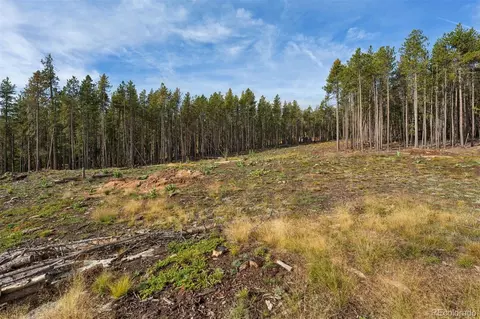 8570 S Warhawk Rd, Conifer, CO 80433 photo 9