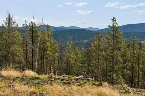 8570 S Warhawk Rd, Conifer, CO 80433 photo 3
