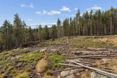8570 S Warhawk Rd, Conifer, CO 80433 photo 8