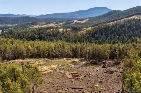 8570 S Warhawk Rd, Conifer, CO 80433 photo 14
