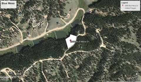 2856 Blue Mesa Dr, Divide, CO 80814 photo 4