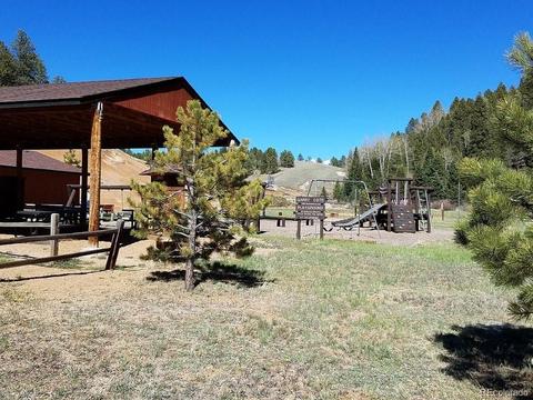 2856 Blue Mesa Dr, Divide, CO 80814 photo 6