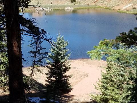 2856 Blue Mesa Dr, Divide, CO 80814 photo 5