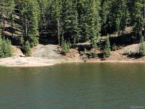 2856 Blue Mesa Dr, Divide, CO 80814 photo 1