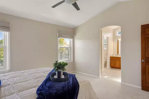 10432 Tiger Run, Lone Tree, CO 80124 photo 18