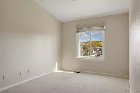 10432 Tiger Run, Lone Tree, CO 80124 photo 22