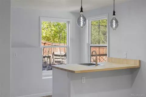 10432 Tiger Run, Lone Tree, CO 80124 photo 27