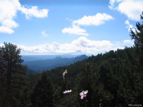 13583 Shiloh Dr, Conifer, CO 80433 photo 33