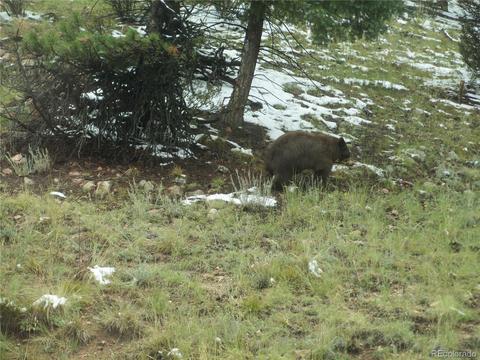 13583 Shiloh Dr, Conifer, CO 80433 photo 35