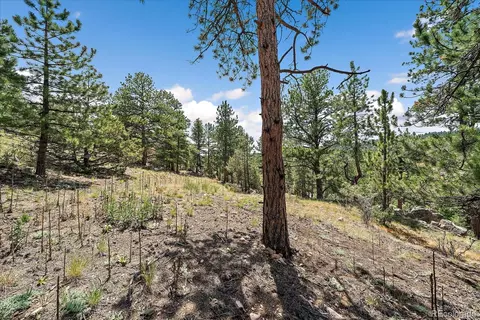 Exterior - 168 Juniper Ln, Bailey, CO 80421 photo 7 of 7