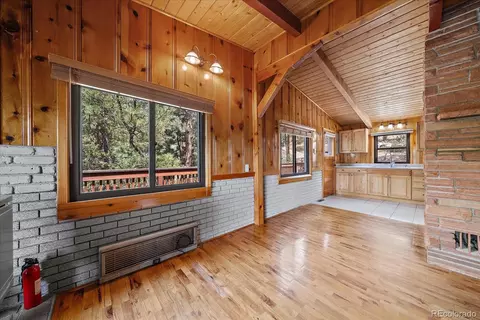 Living - 168 Juniper Ln, Bailey, CO 80421 photo 5 of 6