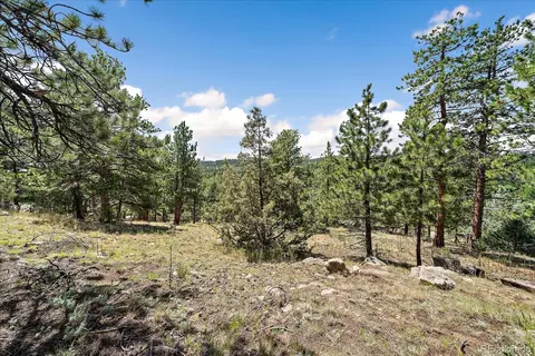 Exterior - 168 Juniper Ln, Bailey, CO 80421 photo 6 of 7