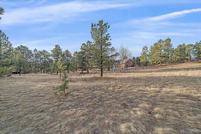 38 Doe Cir, Bailey, CO 80421