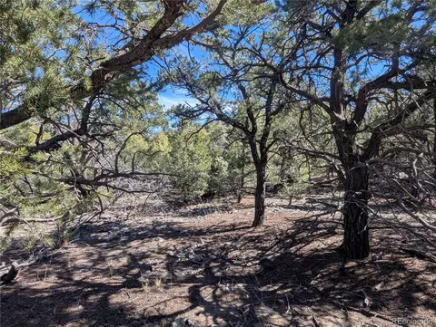 200 Mill Run Rd, Mosca, CO 81146 photo 3