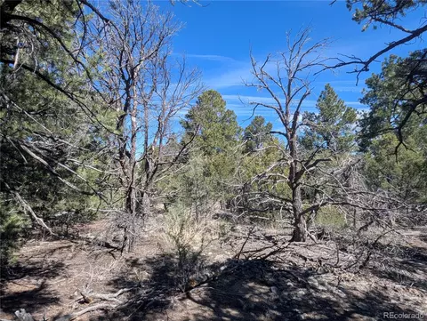 200 Mill Run Rd, Mosca, CO 81146 photo 8