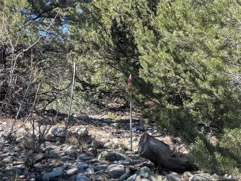 200 Mill Run Rd, Mosca, CO 81146 photo 7
