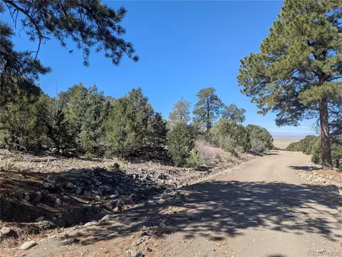 200 Mill Run Rd, Mosca, CO 81146 photo 5