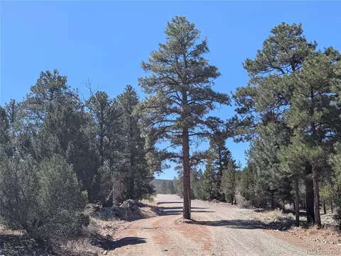 200 Mill Run Rd, Mosca, CO 81146 photo 18