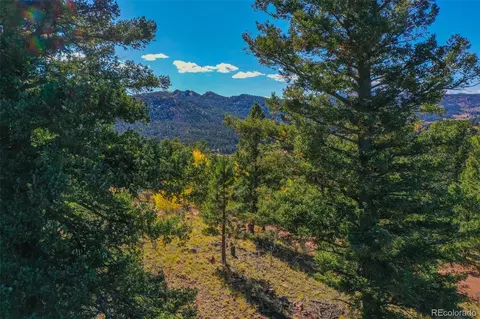 480 Ponderosa Dr, Florissant, CO 80816