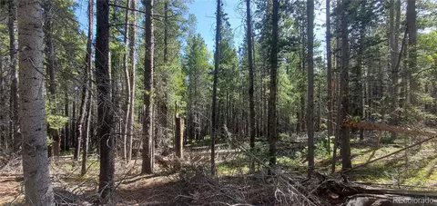 lot3031 Bolwell Ln, Fort Garland, CO 81133