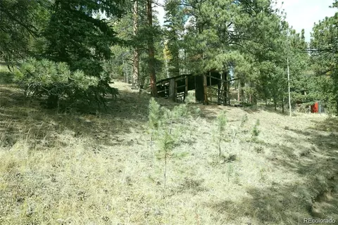 188 Brown St, Bailey, CO 80421 photo 4