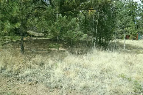 188 Brown St, Bailey, CO 80421 photo 3