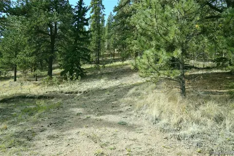 188 Brown St, Bailey, CO 80421 photo 2