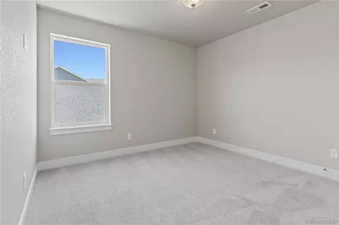 2115 Coyote Mint Dr, Monument, CO 80132 photo 34