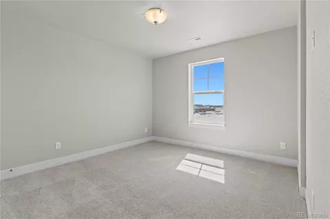 2115 Coyote Mint Dr, Monument, CO 80132 photo 31