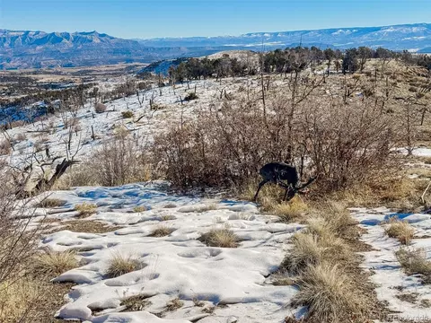 1725 35 110 Rd, De Beque, CO 81630 photo 20