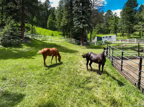12079 Tecumseh Trl, Conifer, CO 80433 photo 4